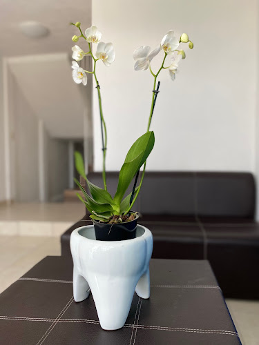 dentista barato Aguascalientes