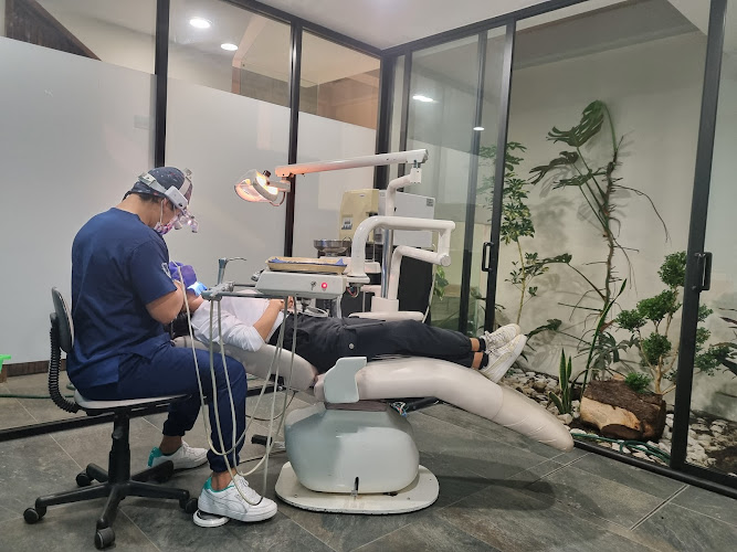 dentista barato Tlaxcala