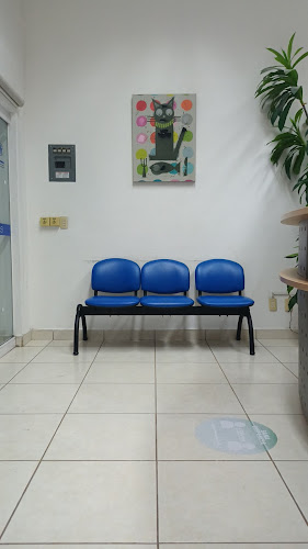 dentista barato Puerto Vallarta