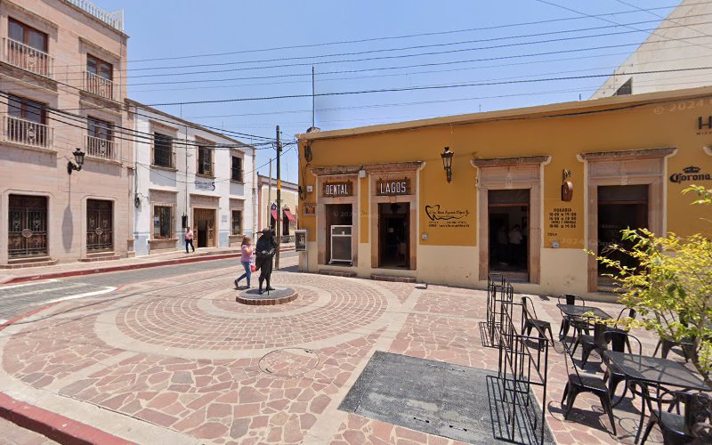 dentista barato Lagos de Moreno
